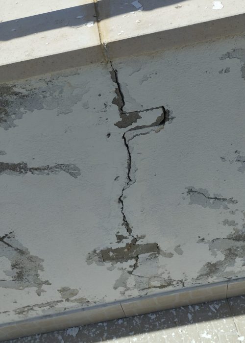 342480693_207859855318522_1848832104239758262_n