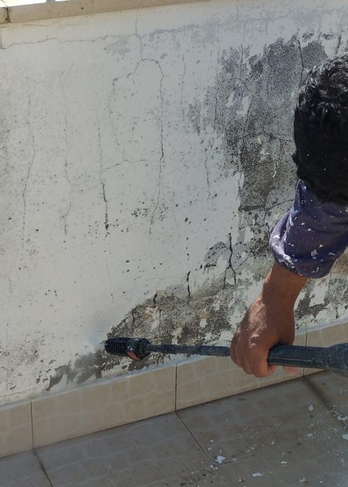 342490454_552337607046998_5850376794757645727_n