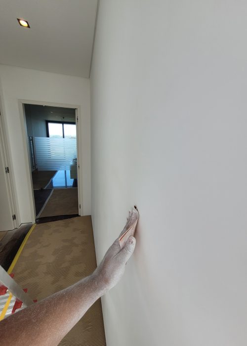 350116736_936828007532786_1030288502921481541_n