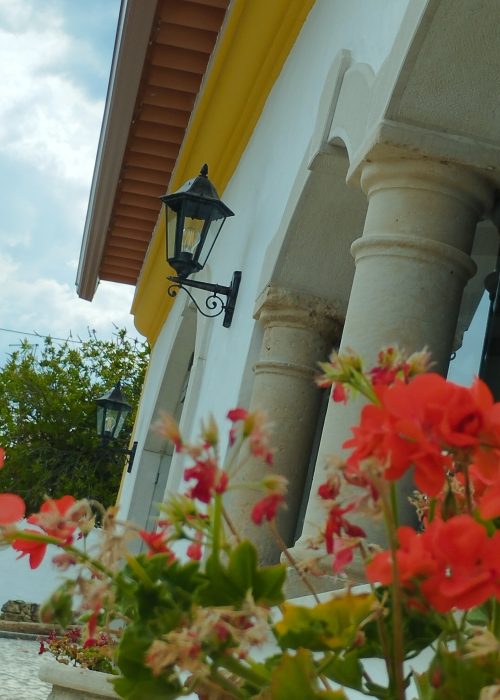 354192738_618244720371075_8895850262518202054_n