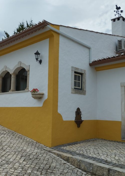 354251286_618244947037719_1373232278043953153_n