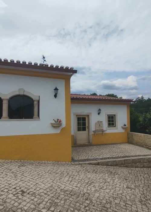 354462525_618245110371036_979415717428139103_n